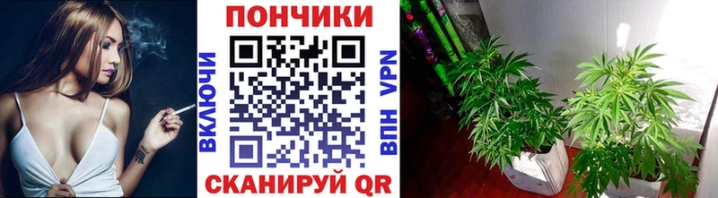 Конопля THC 21%  ОМГ ОМГ ссылки  Южно-Сухокумск 